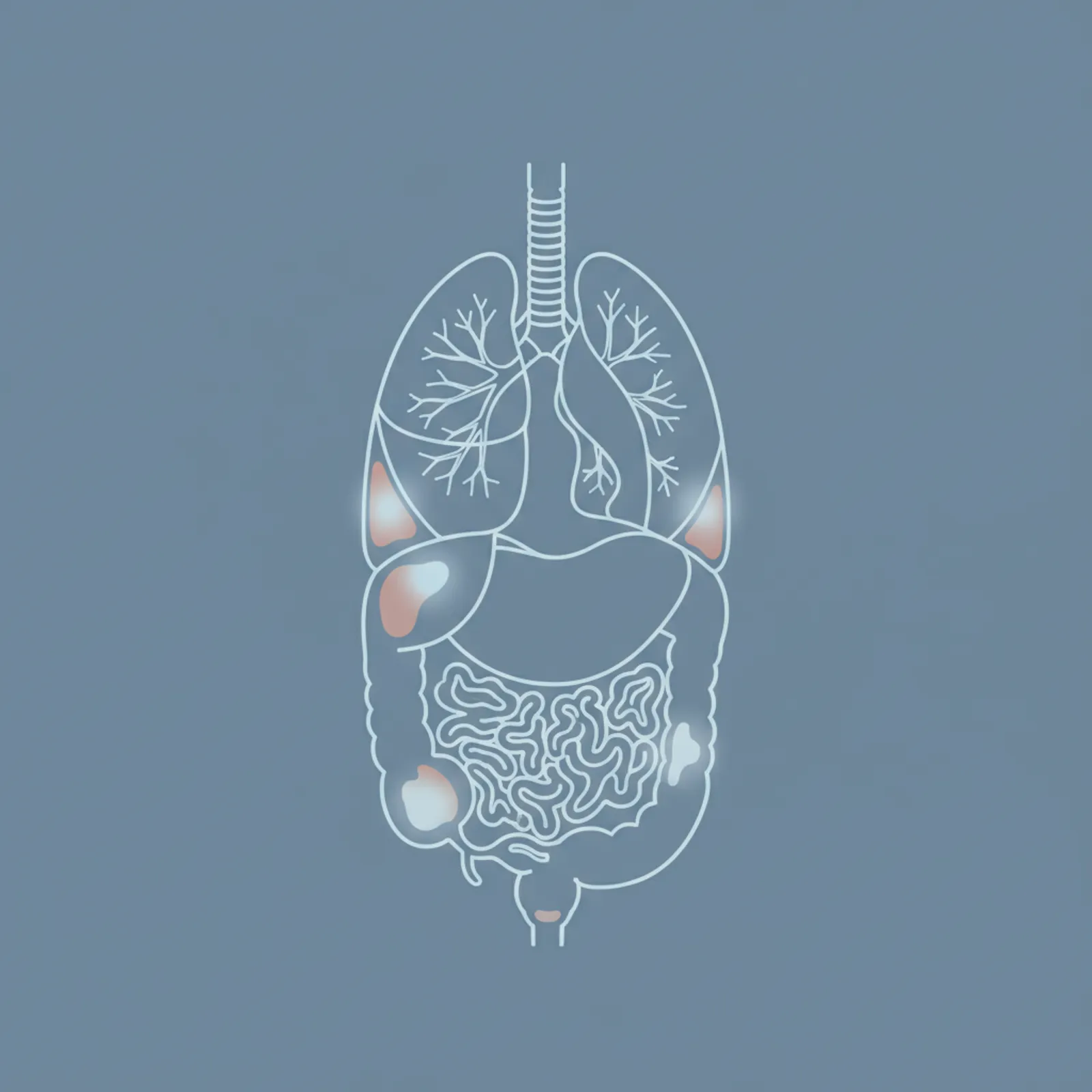 Опухоли мезотелиальной ткани: когда страдает плевра и брюшина
